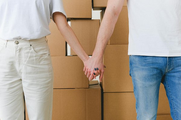 L'évolution fascinante des haies en France : Chroniques d'un paysage vivant