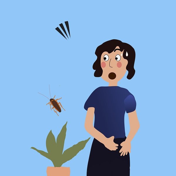 Expert anti nuisibles drômes : 47 ans d'expérience et écologie